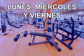 Lunes, miércoles y viernes (mensual)